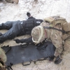 Combat_Medic_Course_2017-127