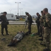 Combat_Medic_Course_2017-35