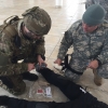 Combat_Medic_Course_2017-45