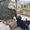 Combat_Medic_Course_2017-58