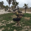 Combat_Medic_Course_2017-79