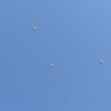 Parachute_Jump_Course_033