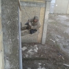 SWAT_Course_2015_074