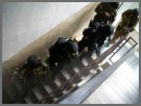SWAT Week 2010